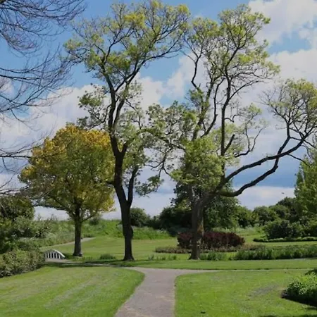 Tiny House In Center I Close To Schiphol & Amsterdam