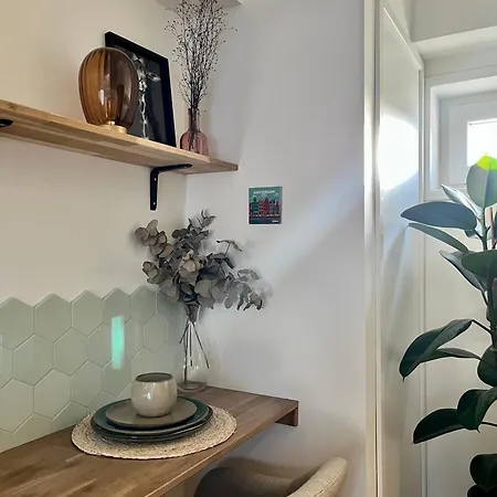 Tiny House In Center I Close To Schiphol & Amsterdam * Aalsmeer
